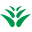 greenpower.org.hk