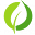 greensherbs.com