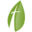 greenstreet.org