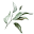 greenwillowhomestead.com