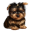 greenwoodpuppies.com