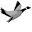 greygoosegraphics.com