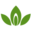 groeninfo.com