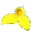 ground-orchids.de