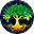 grovecoin.io