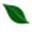grovesite.com