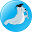 guiafoca.org