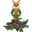 guncoyote.com
