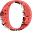 gunnoracle.com
