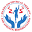 hands-onpt.com