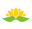 happyflower.mx