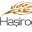 hasiroglu.com
