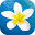 hawaiiactivities.com