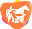 hayvanlar.net