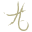 healthandbeauty.com.gr