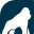 healthgorilla.com