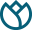 healthnews4you.com