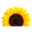 healthproductsforyou.com
