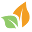 healthymesacounty.org