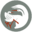 hebammenpraxis-schoeneweide.de