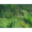 hecoalition.org