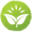 heilkraft-der-natur.com