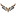helivideopros.com