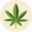 hempcann.in