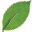 herbalshop.com