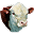 hereford.org.ar