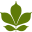 hickoryfarms.org