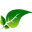 hirkanlab.com