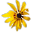 hnh.ru