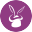 hocus-pocus.com