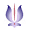 holosynergie.com