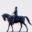 horseadvice.com