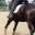 horselistening.com