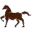 horsesonly.com