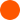 hospibuz.com
