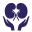 houstonkidneyassociates.com