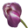 howdoesmsfeel.com