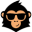 hr-monkeys.de