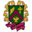 hs-stm.org