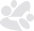 hvnter.net
