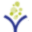 hyacinth.org
