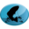 iansflies.com