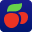 icleducation.ru