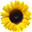 idreamoffrance.com