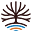 iefprograms.org