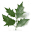 ieji.org